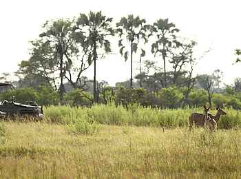 Nxabega Okavango Tented Camp: Geländewagen auf der Pirsch