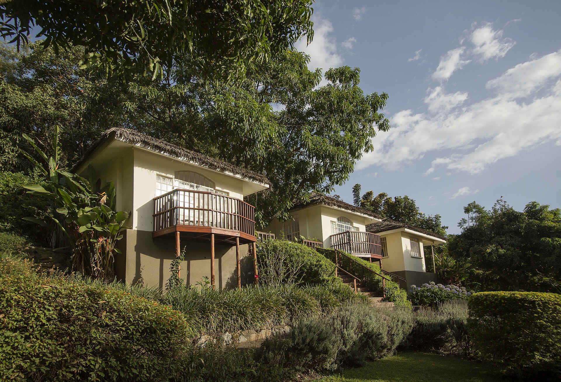 Arusha, Arusha National Park, Kilimanjaro National Park, Mount Meru, Onsea House, Onsea House Tanzania Limited, Tansania, Tanzania, Themi Hill, Garten, Guest Cottage, Afrikarma, Afrikarma Safaris, Afrikarma Safaris – Wildnis. Hautnah., afrikarma.de