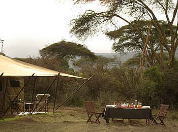 Saruni Wild: Gedeckter Tisch Saruni Wild: Gedeckter Tisch