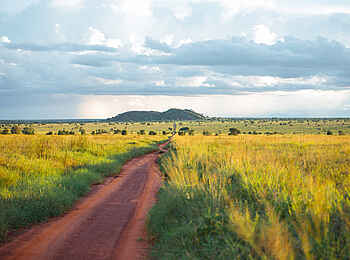 Soroi Lions Bluff Lodge: Umgebung der Lodge