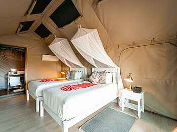 Tlouwana Camp: Zweibettzelt Tlouwana Camp: Zweibettzelt