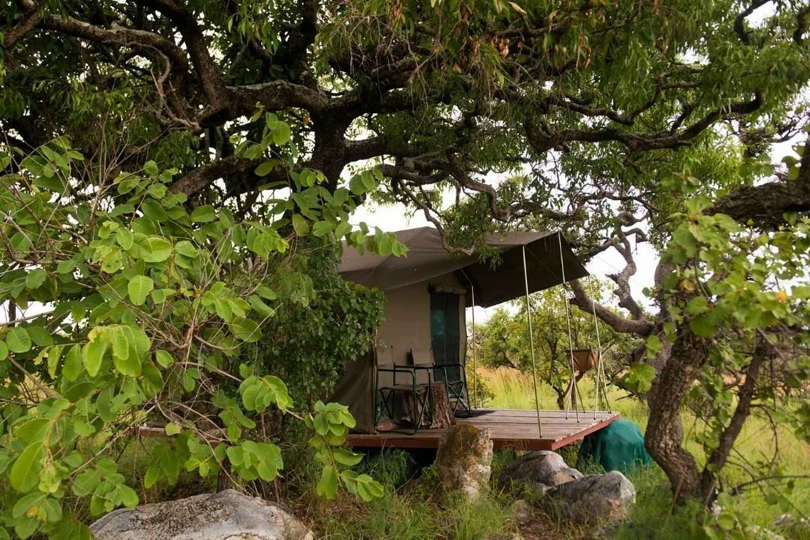 Karenge Bush Camp: Gästezelt im Schatten Karenge Bush Camp: Gästezelt im Schatten