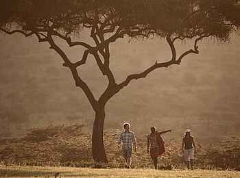 Mara Bushtops: Auf Walking Safari