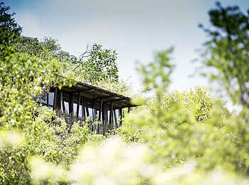 Marataba Mountain Lodge: Lodge im Grünen Marataba Mountain Lodge: Lodge im Grünen