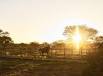 Gmundner Lodge: Reiten Gmundner Lodge: Reiten