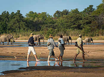 KuKaya: Eine Wandersafari KuKaya: Eine Wandersafari