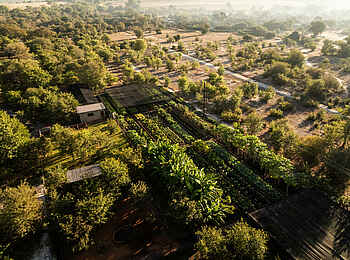 Mukwa River Lodge: Blick auf die Gärten