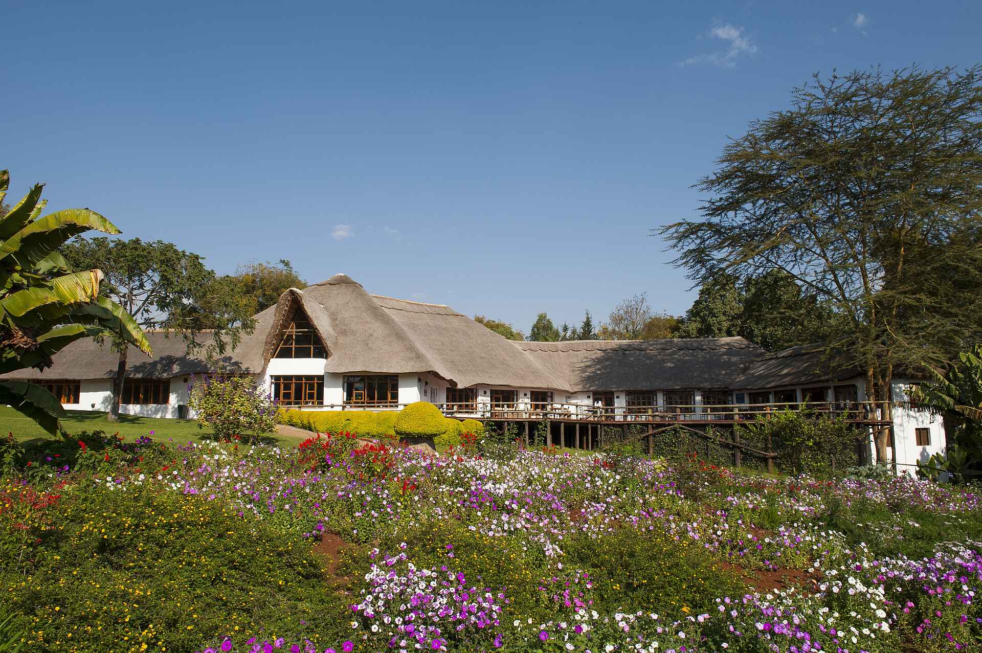 Ngorongoro Farmhouse: Umliegende Gärten