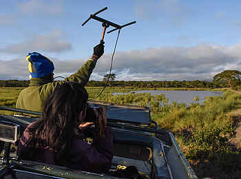 Ol Pejeta Bush Camp: Lion Tracking