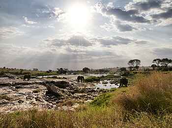 Serian Serengeti Mobile Camp: Elefanten im Fluss