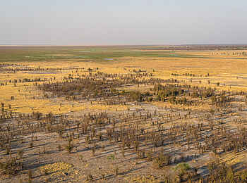 Wilderness Mokete Camp: Blick ins Delta