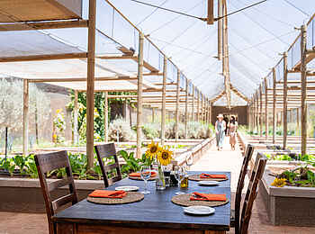 Wolwedans Dune Camp: Garden Lunch Wolwedans Dune Camp: Garden Lunch