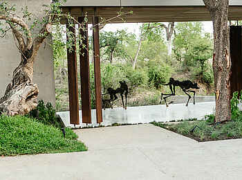 Cheetah Plains Mapogo House: Eingangsbereich Cheetah Plains Mapogo House: Eingangsbereich