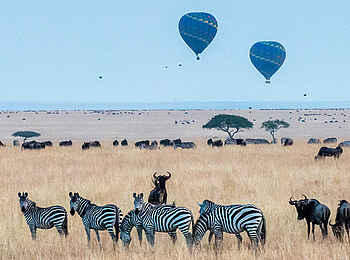 Naibor Camp: Heißluftballons über der Ebene Naibor Camp: Heißluftballons über der Ebene