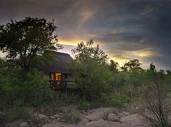 Sabi Sabi Little Bush Camp: Ein Gästechalet am Bachbett