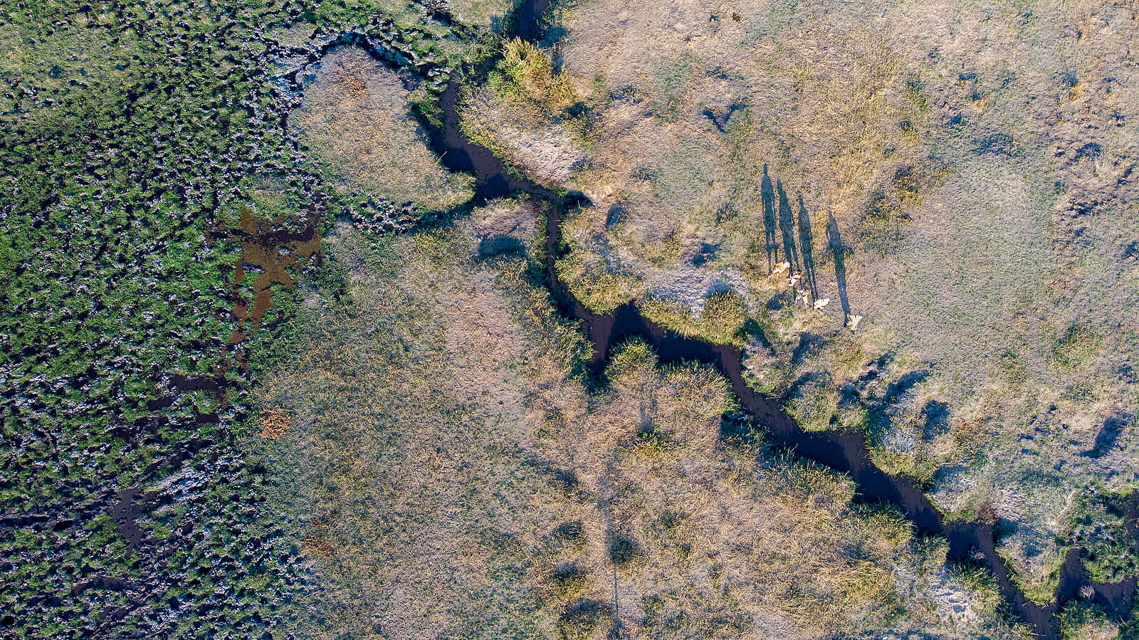 Takwela Camp: Schatten von Gästen am Mbowe Stream Takwela Camp: Schatten von Gästen am Mbowe Stream