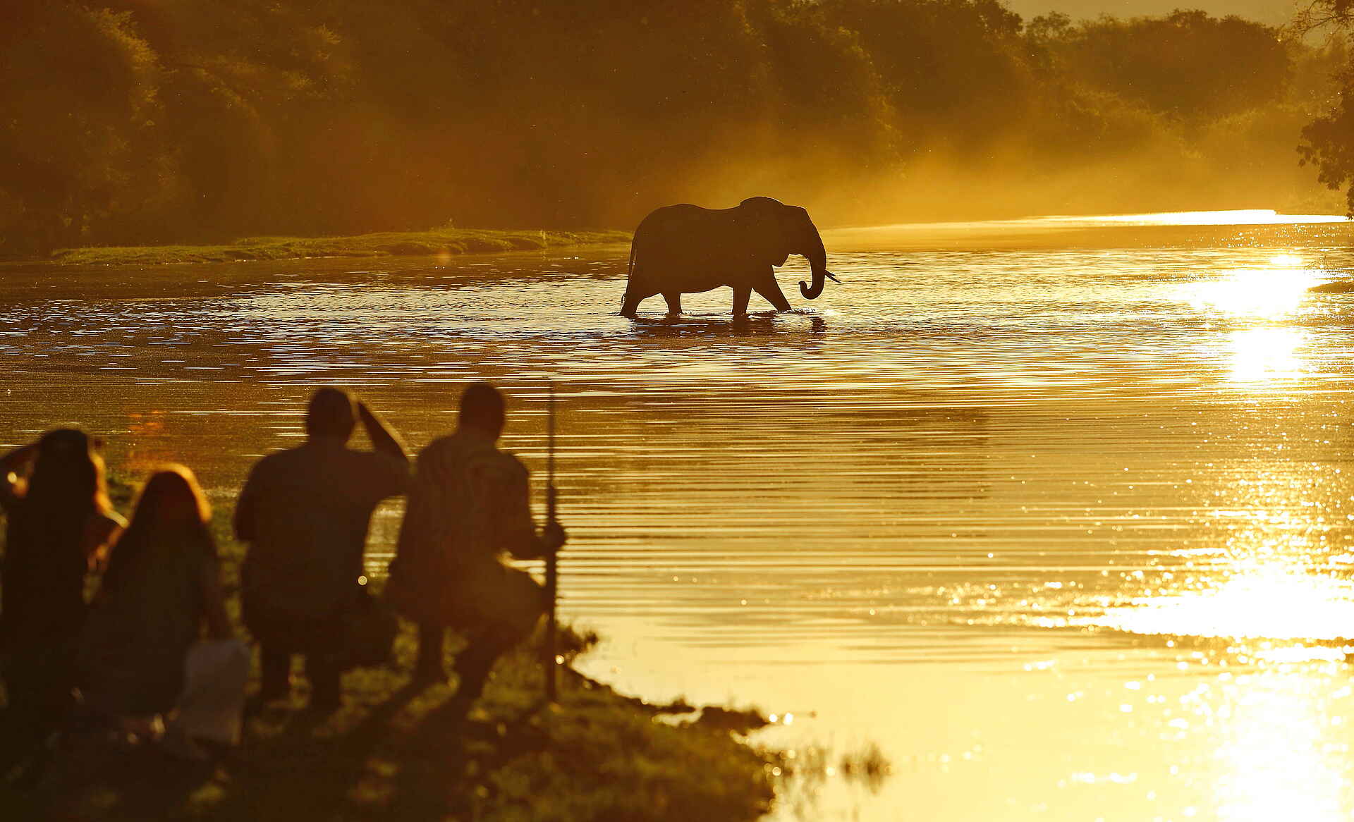 Time + Tide Chongwe: Elefant im Sambesi