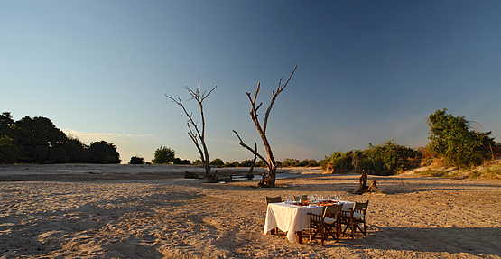 Time + Tide Nsolo: Bushdinner Time + Tide Nsolo: Bushdinner
