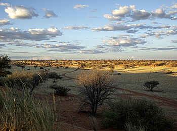 Bagatelle Kalahari Game Ranch: Landschaft