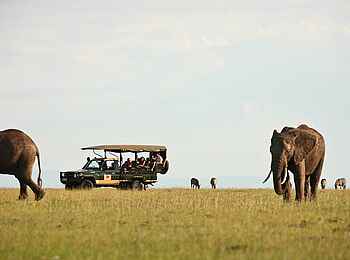 Elephant Pepper Camp: Pirschfahrt mit Elefanten Elephant Pepper Camp: Pirschfahrt mit Elefanten