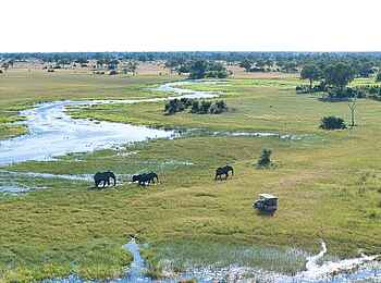 Karangoma Camp: Elefantenbegegnung bei einer Pirschfahrt Karangoma Camp: Elefantenbegegnung bei einer Pirschfahrt