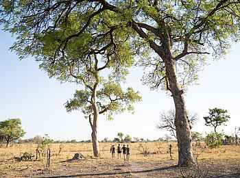 Karangoma Camp: Walking-Safari Karangoma Camp: Walking-Safari