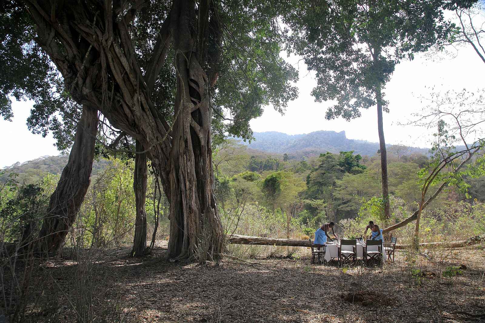 Kitich Camp: Frühstück im Busch Kitich Camp: Frühstück im Busch