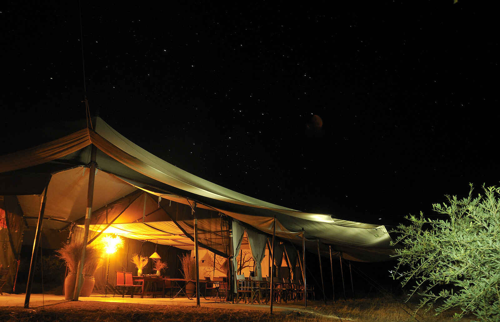 Kwihala Camp: Zelt unterm Sternenhimmel Kwihala Camp: Zelt unterm Sternenhimmel