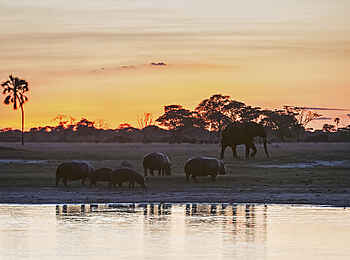 Linkwasha Camp: Flusslandschaft