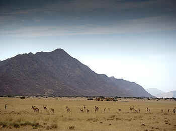 Okahirongo River Camp: Savanne mit Berg Okahirongo River Camp: Savanne mit Berg