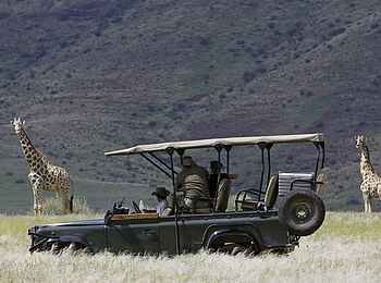 Palmwag Lodge: Giraffenbegegnung