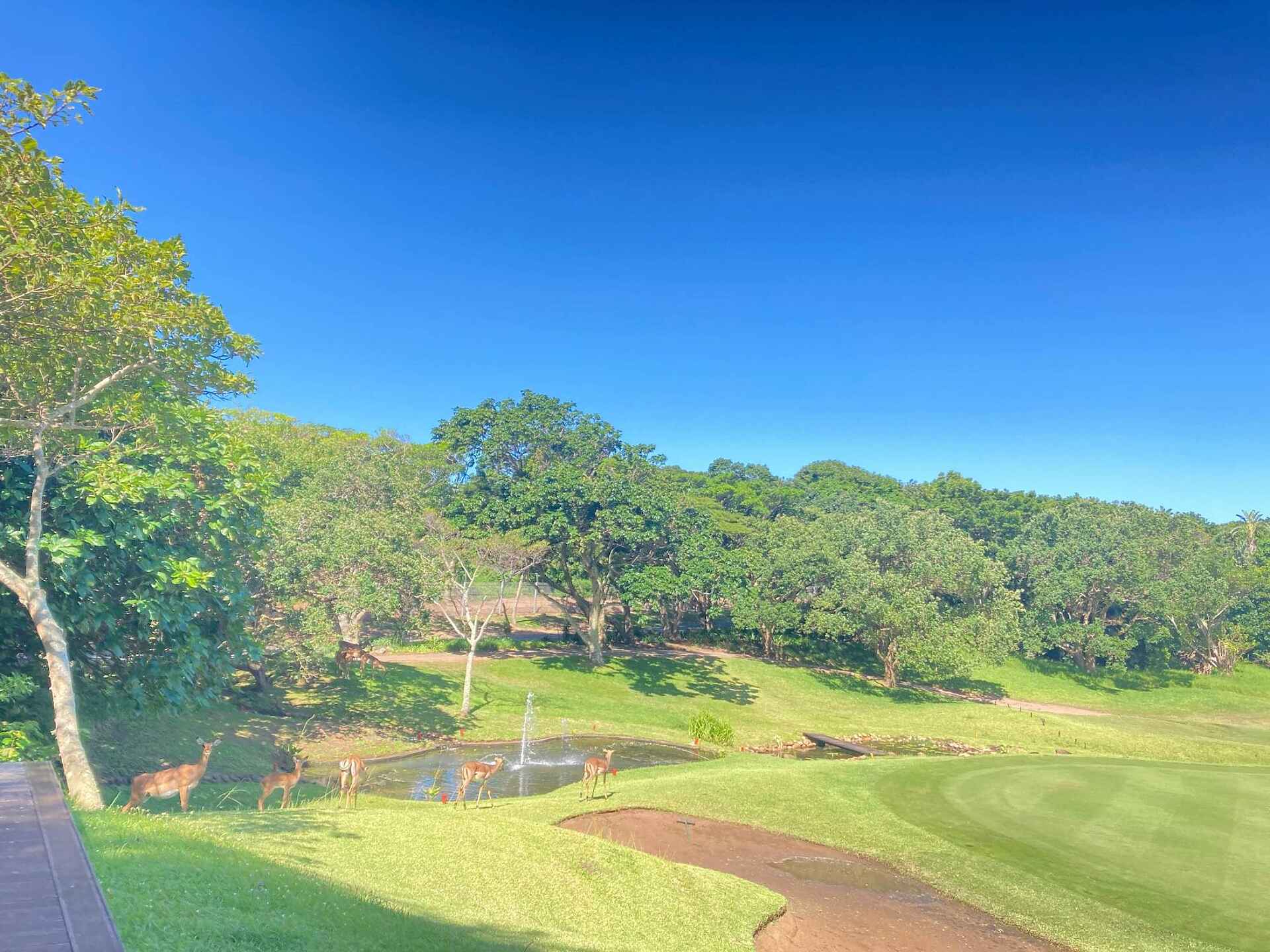 Prince´s Grant: Golf Course 05