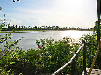 Selous Impala Camp: Ausblick vom Gästezelt