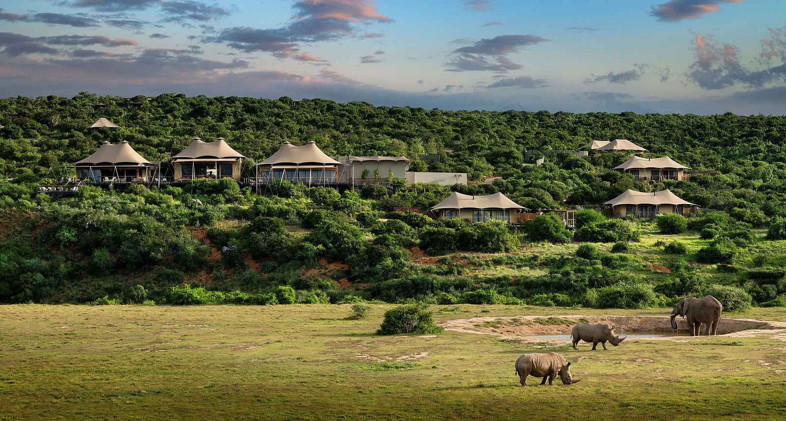 Sindile Luxury Tented Camp: Blick auf das Camp Sindile Luxury Tented Camp: Blick auf das Camp