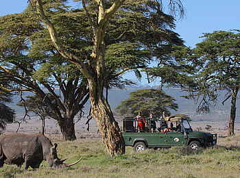 Sirikoi: Pirschfahrt mit Nashornsichtung