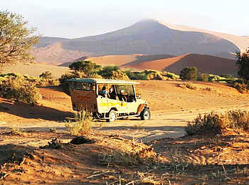 Sossusvlei Lodge: Game Drive