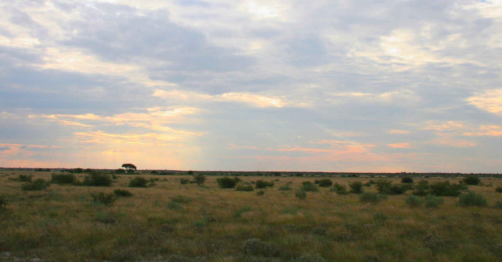 Tau Pan Camp: Tau-Pfanne Tau Pan Camp: Tau-Pfanne