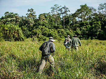 Lango Camp: Buschwalk durch das Gras Lango Camp: Buschwalk durch das Gras