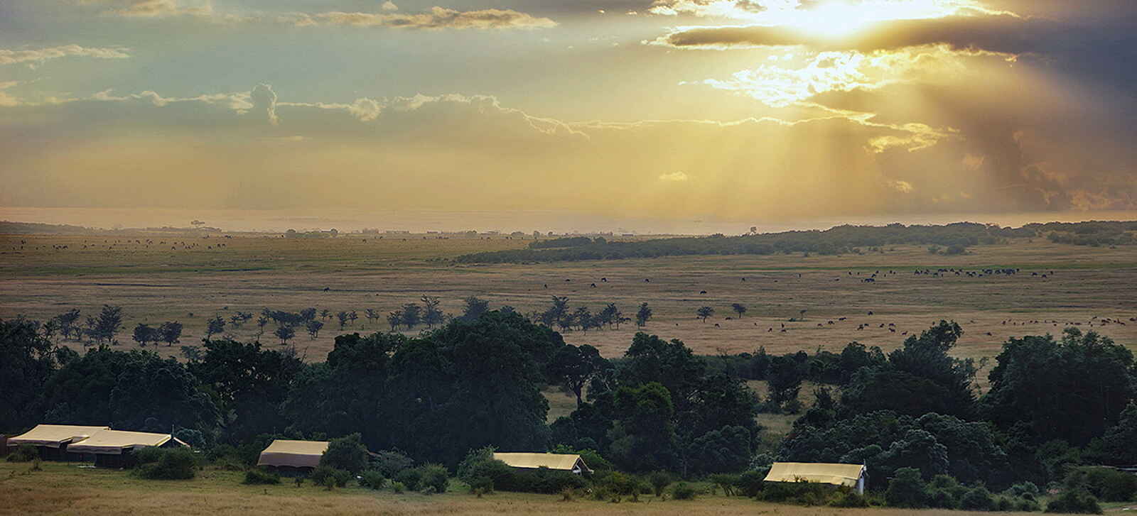 Porini Lion Camp: Das Camp mit Blick in die Landschaft Porini Lion Camp: Das Camp mit Blick in die Landschaft