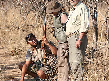 Camp Hwange: Geführte Buschwanderung