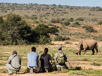 Ecca Lodge: Wandersafari Ecca Lodge: Wandersafari