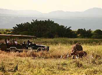 Elsa's Kopje: Fahrt ins Rhino Sanctuary Elsa's Kopje: Fahrt ins Rhino Sanctuary