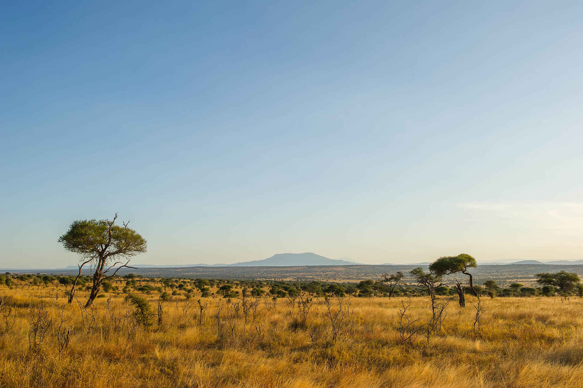 Kuro Tarangire, kuro tarangire camp, Landschaft, tarangire nationalpark