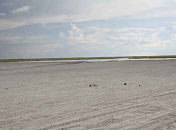 Nata Bird Sanctuary: Übergang zu dem gefluteten Regionen Nata Bird Sanctuary: Übergang zu dem gefluteten Regionen