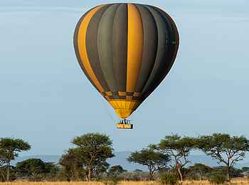 Singita Faru Faru: Heißluftballonfahrt