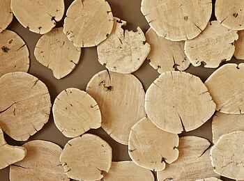 The Olive Exclusive: Erongo - Holzvertäfelung