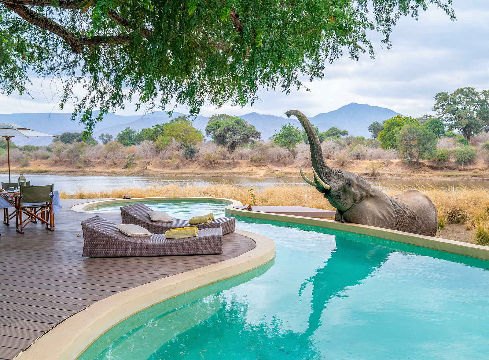 Time + Tide Chongwe House: Durstiger Besuch Time + Tide Chongwe House: Durstiger Besuch