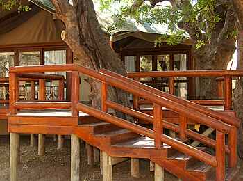 Tuli Safari Lodge Mashatu: Holztreppen