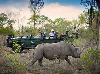 andBeyond Tengile River Lodge: Spitzmaulnashorn