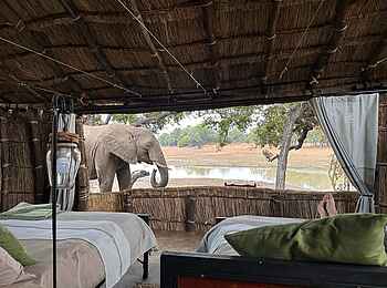 Big Lagoon Camp: Besuch im Camp Big Lagoon Camp: Besuch im Camp